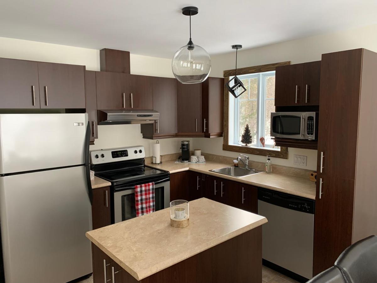 Condo Mont-Edouard 2 L'Anse-Saint-Jean Bagian luar foto