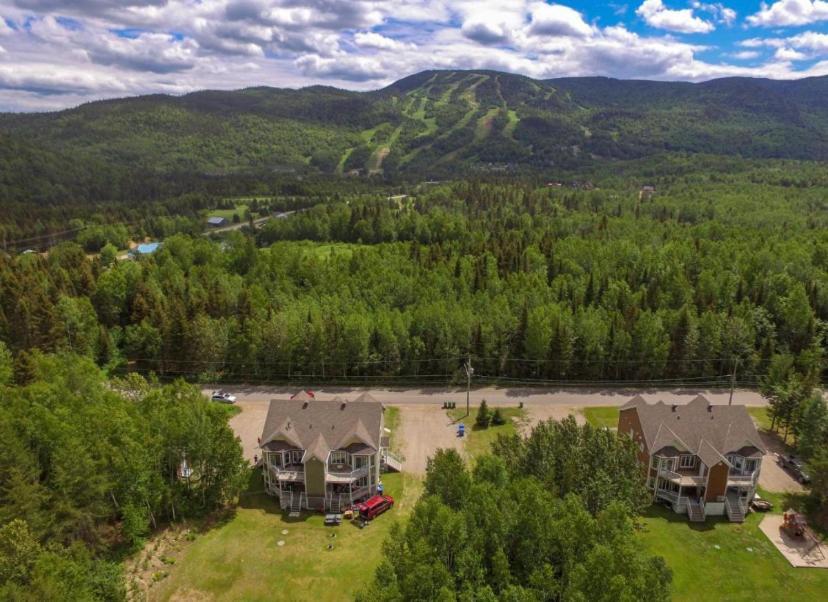 Condo Mont-Edouard 2 L'Anse-Saint-Jean Bagian luar foto